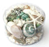 extra large premium jade green mixed seashell pack